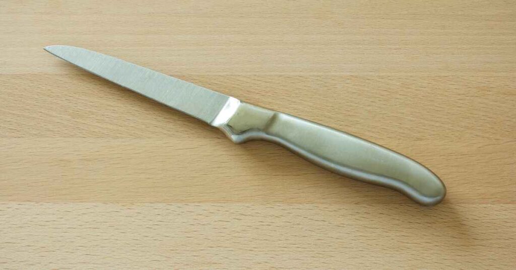 best electric fish fillet knife