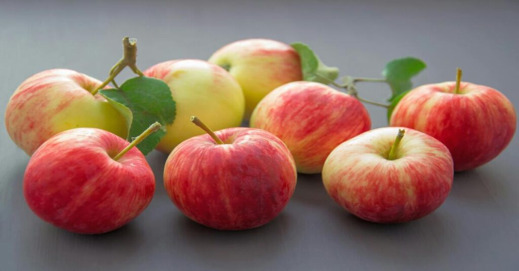 how to make apple juice